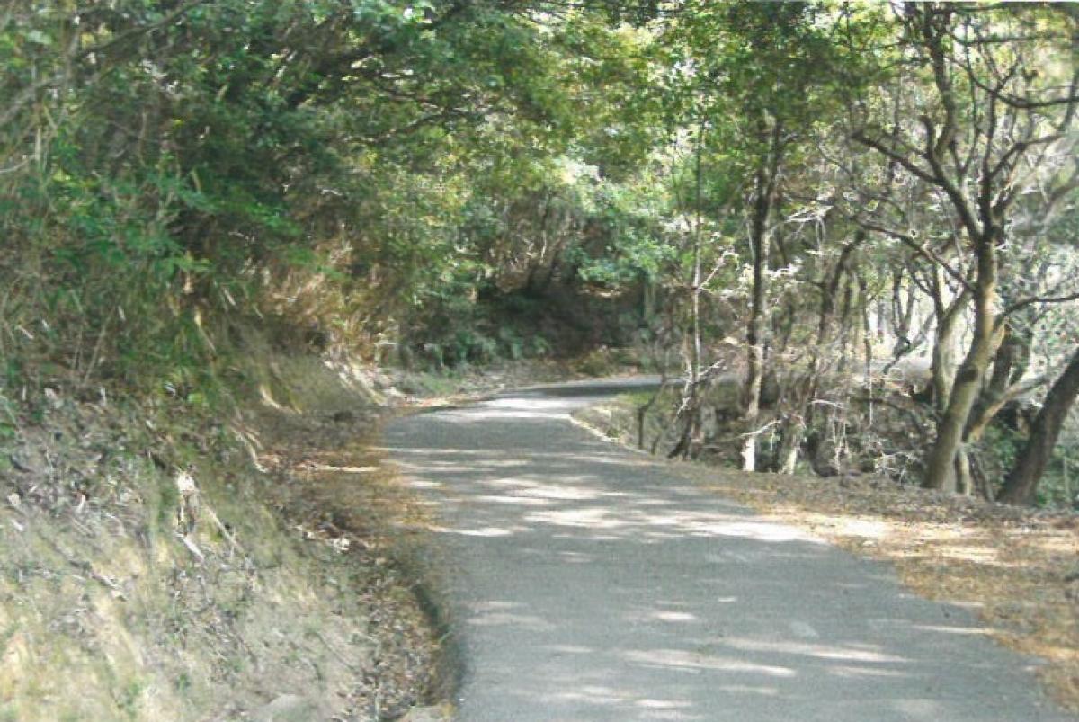 ◇売買実績のご紹介～洲本市宇山売り土地（洲本市）～◇